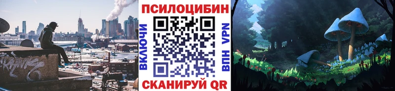 Псилоцибиновые грибы MAGIC MUSHROOMS  купить наркотики сайты  Искитим 