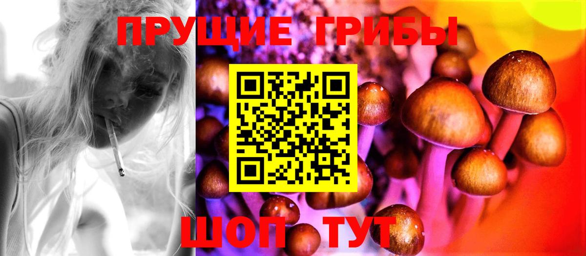 Галлюциногенные грибы прущие грибы Искитим