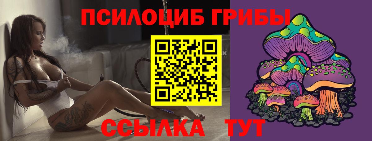 Искитим  Галлюциногенные грибы MAGIC MUSHROOMS  Вход с VPN  закладки  Псилоцибиновые грибы прущие грибы 